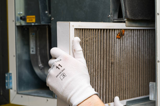 Best Dryer Vent Cleaning Services  in Blanding, UT